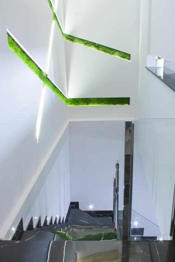 Suite Alma Caceres Luaran gambar